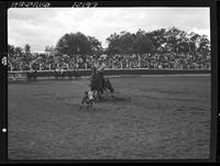 Dean Oliver Calf Roping