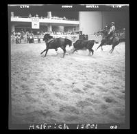 James Bynum  Steer Wrestle