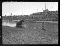 Lee Cockrell Calf Roping