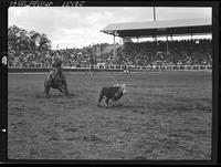 Don McLaughlin Calf roping