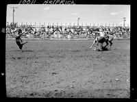 Basil Brown Calf Roping