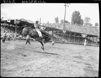 Deb Copenhaver on Caribou