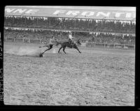 Shoat Webster Steer Roping  (Finals)