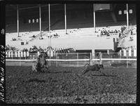 Harry Johnson Calf Roping