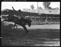 Keith Hyland on Caribou