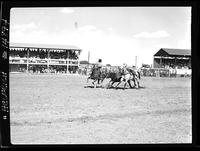 Mardelle Dixon Steer Wrestling