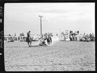 Stan Neal Steer Wrestling