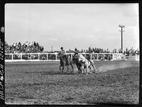 Buck Rutherford Steer Wrestling