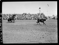 Clyde Alred Calf Roping