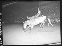 Leonard McCravey on Texas