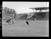 Don Posey Calf Roping