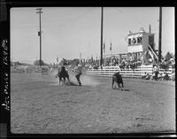 Mel Potter Calf Roping