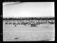 Clifton Smith Calf Roping