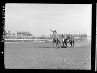 Elliott Calhoun Steer Wrestling