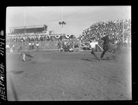 Dene Oliver Calf Roping