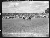 Sherman Sullins Steer Wrestling