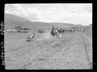 Joe Bergevin Calf Roping