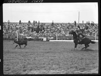 Jack Peak Calf Roping