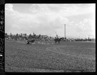 Ike Rude Steer Roping  "1st Go Around"