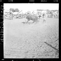 Joaquin Sanchez, Roger Mawson, bull charging barrel