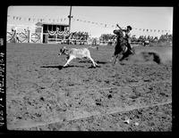 Dan Taylor Calf Roping