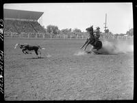 E.V. Dorsey Calf Roping