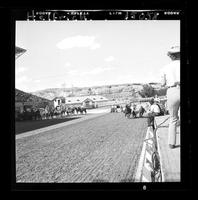 Ken Nodding Steer Wrestling