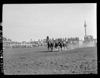 Buck Rutherford Steer Wrestling