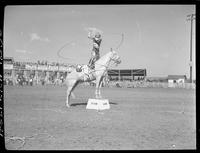 Lynn Merri spinning rope on Horse