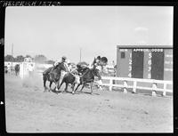 Bill Dygert Steer Wrestling