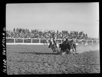 Luke Paterson Steer Wrestling