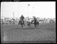 Bill McGuire - Steer Wrestling