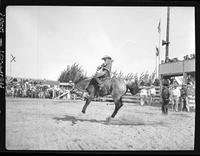 Gene Tyler on Buckskin Bill