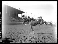 Bob Walker off Go for Broke