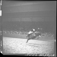 Bob A. Robinson - Stoney  (Vold)