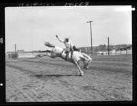 Jack Carson on Zorro