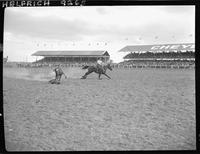 Bill Lawrence Steer Roping