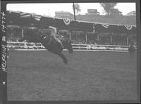 Tom Tescher on Brown Bomber