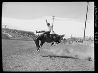 Bill Hartman on Pow Wow