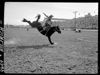 Sonny Linger on Ten Below