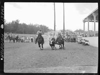 Doyle Cobler Steer Wrestling