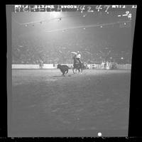 W.E. Jones Calf Roping