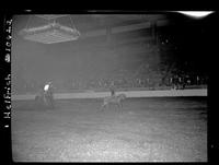 Moe Sagger Calf Roping