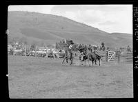 Dick Stimple Steer Wrestling