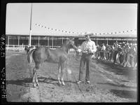Q.H.  Horse Colt '58 unamed - L.V. Hawkins, Wymore, Neb