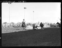 Tom Tescher Steer Wrestling