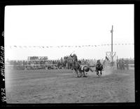 James Bynum Steer wrestling