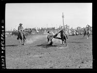 Bill Watts Steer Wrestling