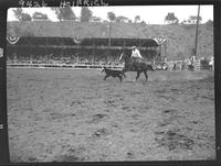 Arnie Will Calf Roping