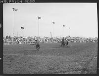 J.D. Holleyman Calf Roping